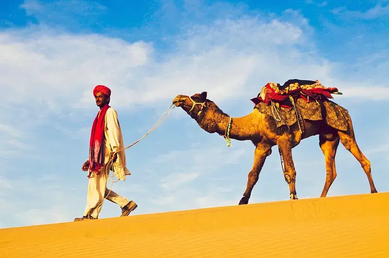 A man in a red turban leading a decorated camel across golden sand dunes